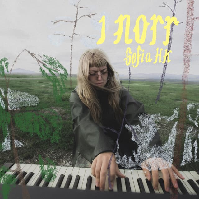 Album cover art for I norr