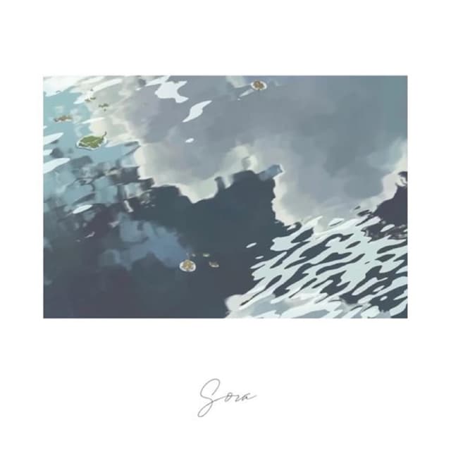 Album cover art for Sora