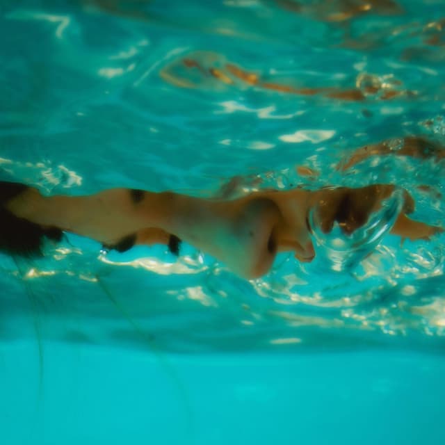 Album cover art for Sonne und Schmerz
