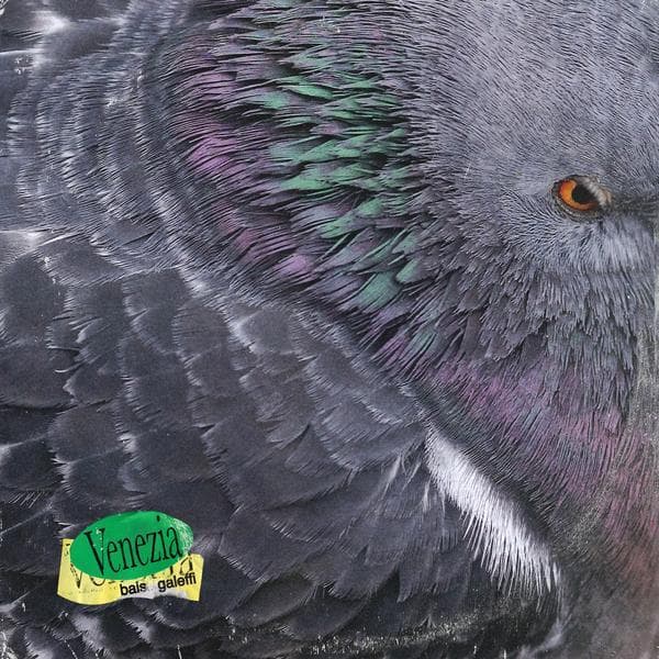 Album cover art for Venezia