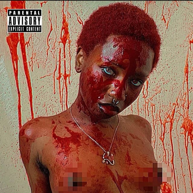 Album cover art for Succube