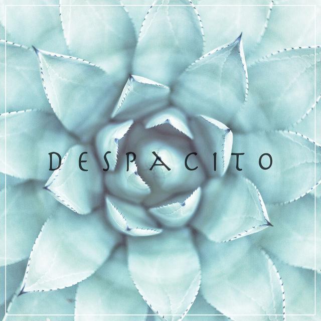 Album cover art for Despacito