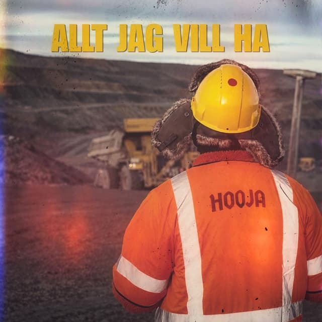 Album cover art for ALLT JAG VILL HA