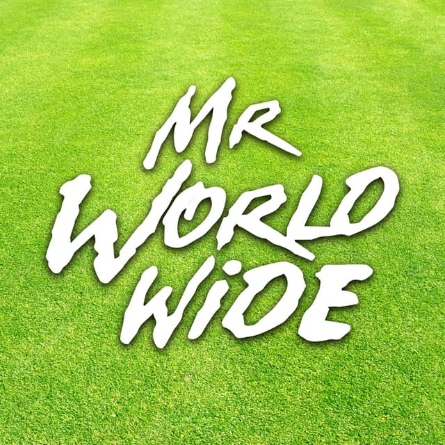 Album cover art for Mr Worldwide