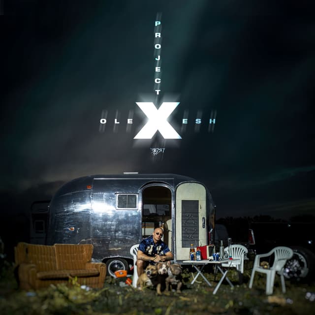 Album cover art for Project X