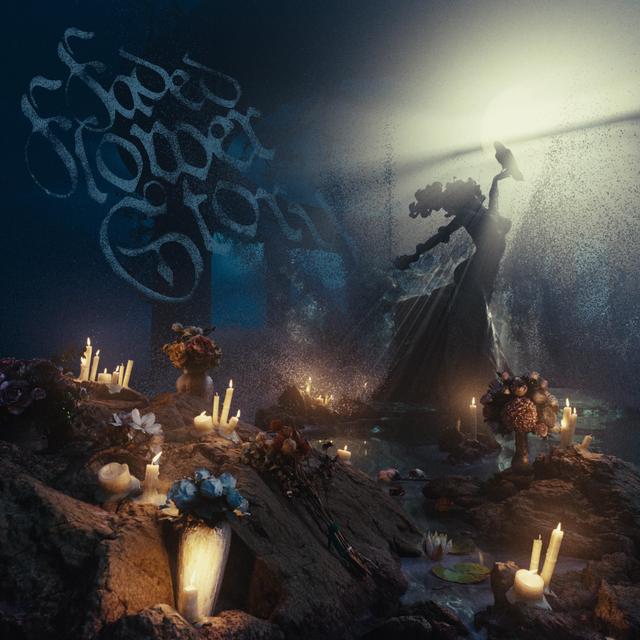 Album cover art for Faded Flower Story (Deluxe)