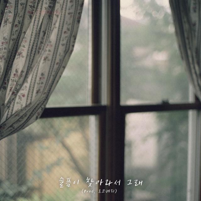Album cover art for 슬픔이 찾아와서 그래 (Sorrow at my door)