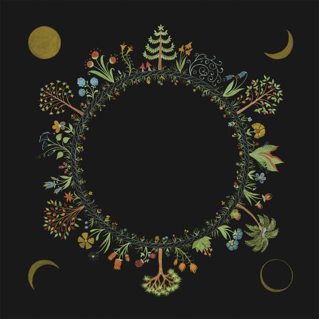 Album cover art for Wheel