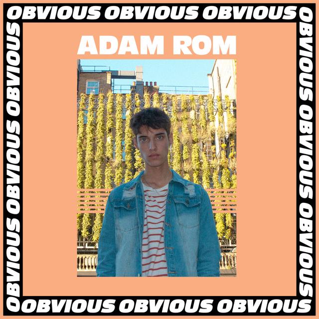 Album cover art for Obvious