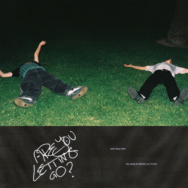 Album cover art for ARE YOU LETTING GO?