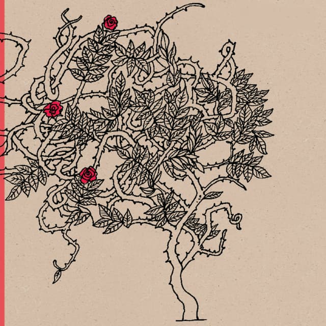 Album cover art for La dueña de mi poesía