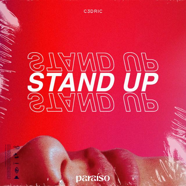 Album cover art for Stand Up