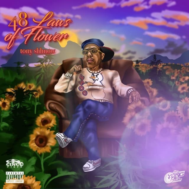 Album cover art for 48 Laws of Power