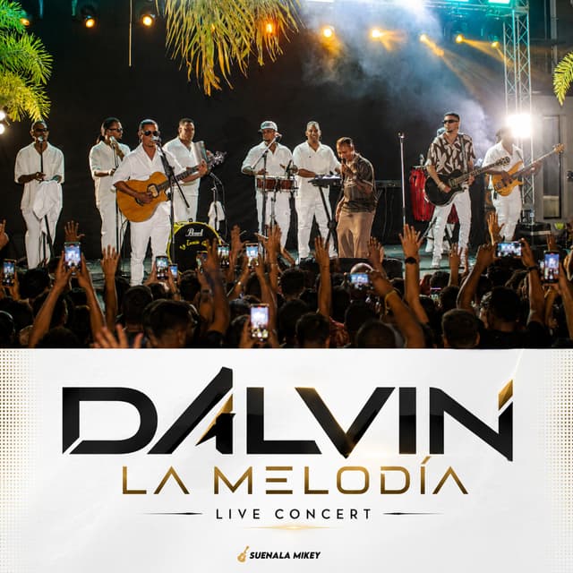 Album cover art for Live Concert