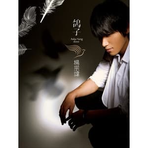 Album cover art for 鴿子