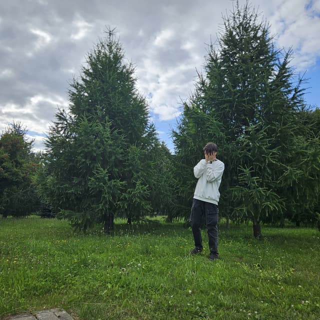 Album cover art for planifie