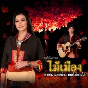Album cover art for หากความคิดถึงฆ่าคนให้ตายได้