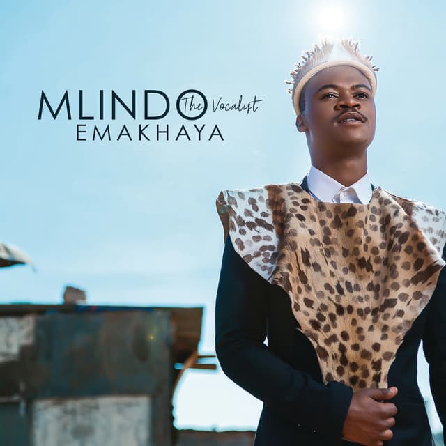 Album cover art for Emakhaya
