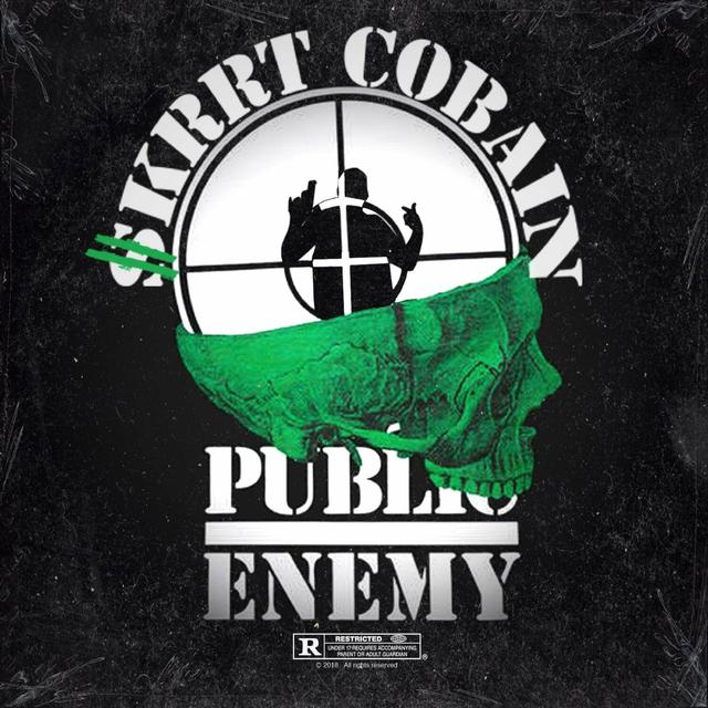 Album cover art for Public Enemy #1