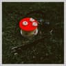 Fantasías