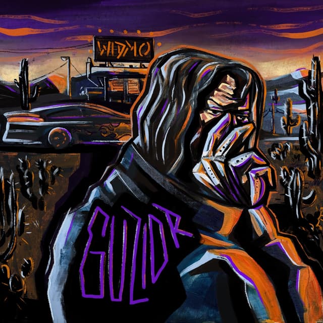 Album cover art for STACJA WIDMO