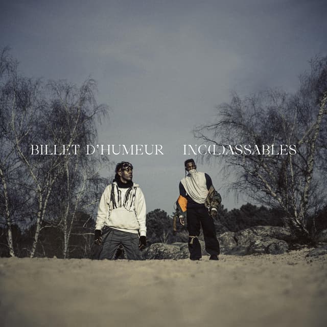 Album cover art for INC(L)ASSABLES