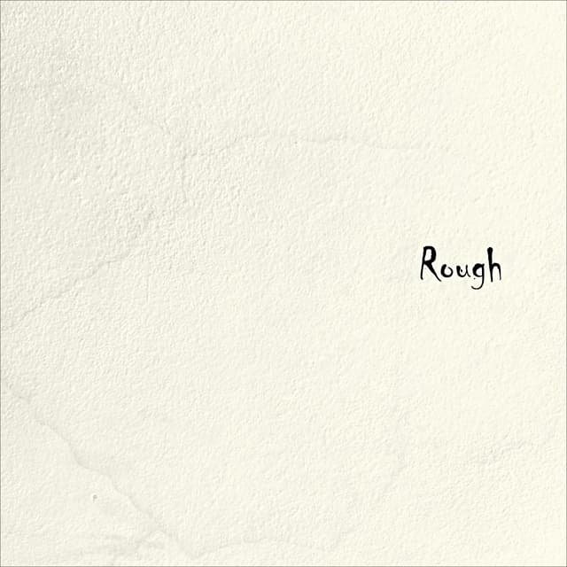 Album cover art for Rough