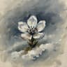 설중화 Winter Bloom