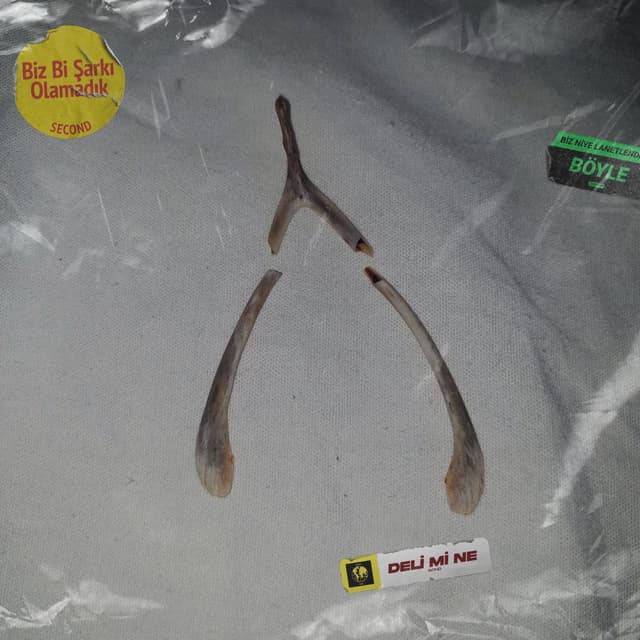 Album cover art for biz bi şarkı olamadık