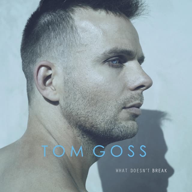 Album cover art for What Doesn't Break