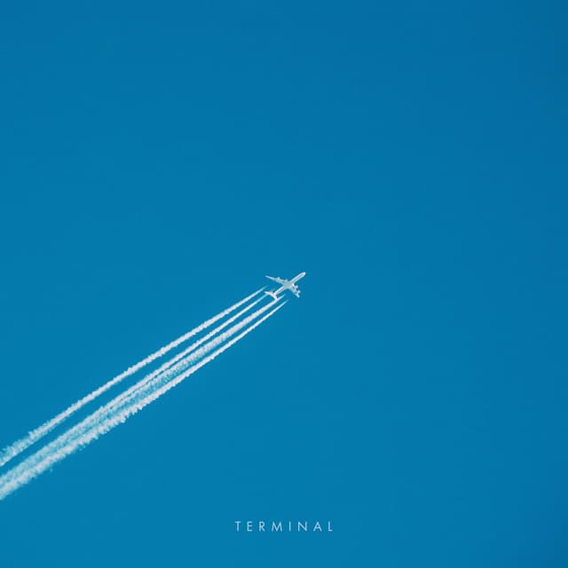Album cover art for Terminal