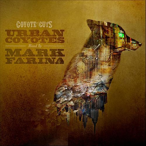Urban Coyotes