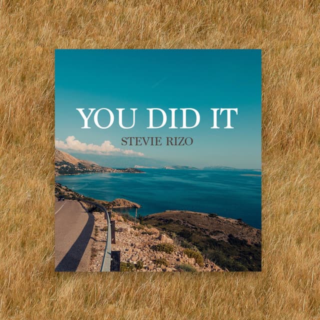 Album cover art for You Did It