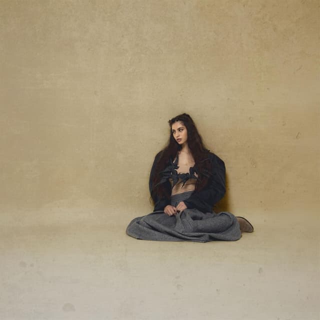 Album cover art for Mezzaluna