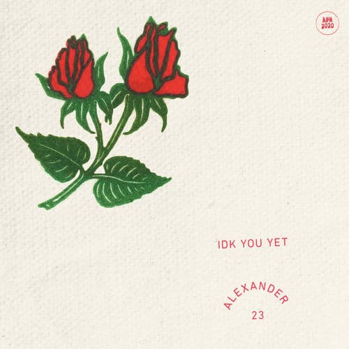 Album cover art for IDK You Yet