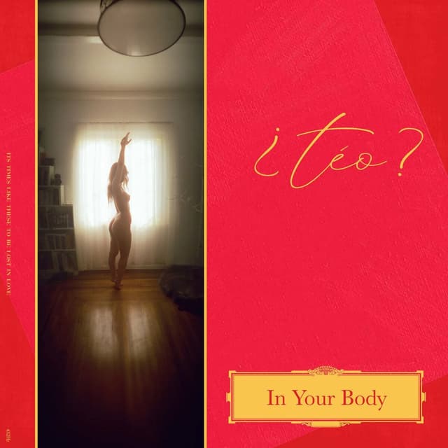 Album cover art for In Your Body