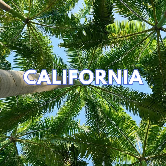 Album cover art for California