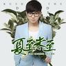 夏至未至 (xia zhi wei zhi)
