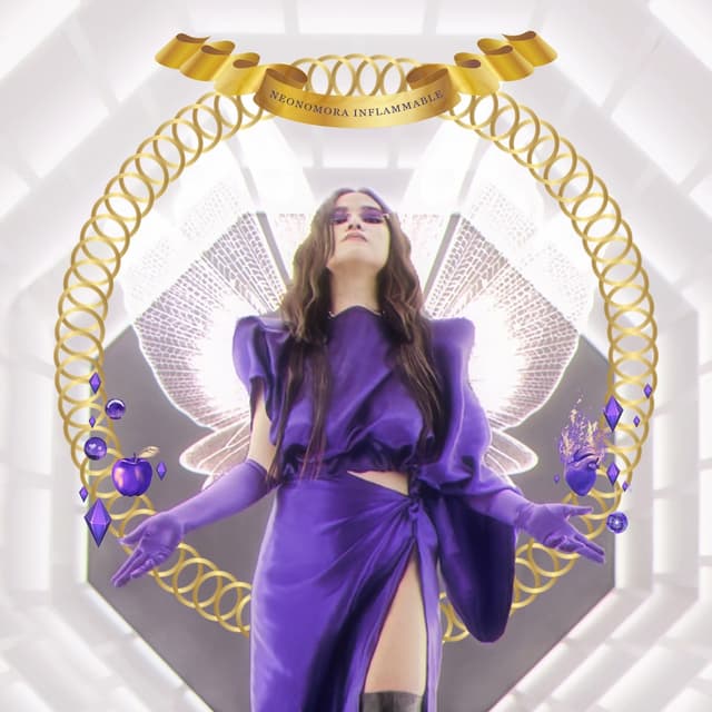Album cover art for Inflammable