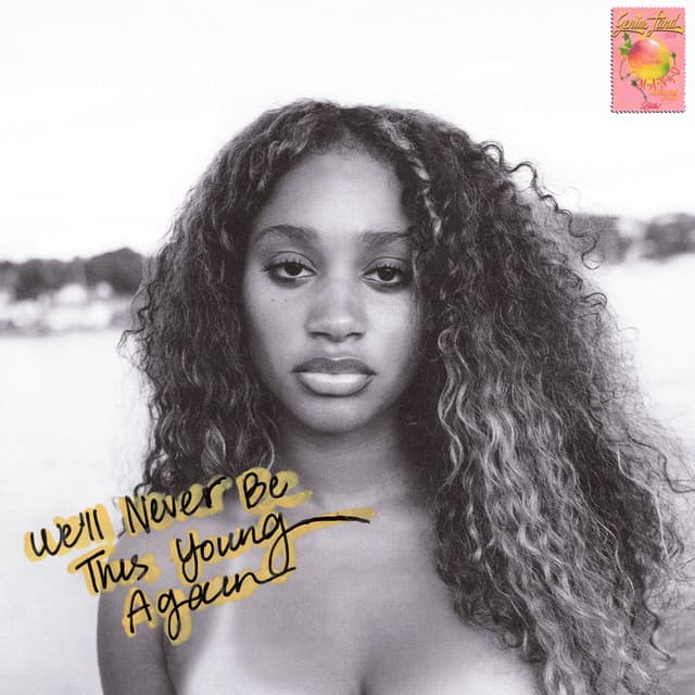 Album cover art for We'll Never Be This Young Again