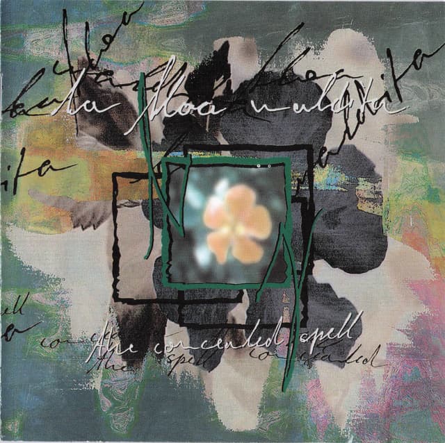 Album cover art for The Concealed Spell