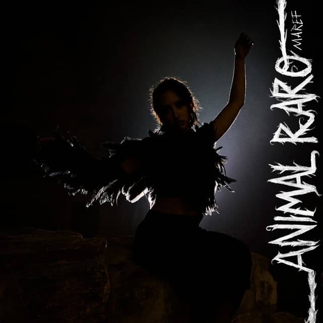 Album cover art for Animal Raro