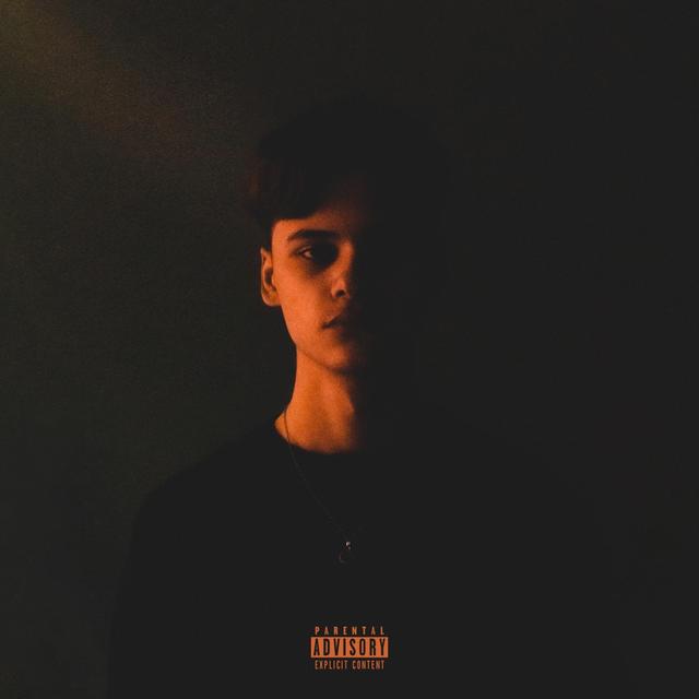 Album cover art for Blessures