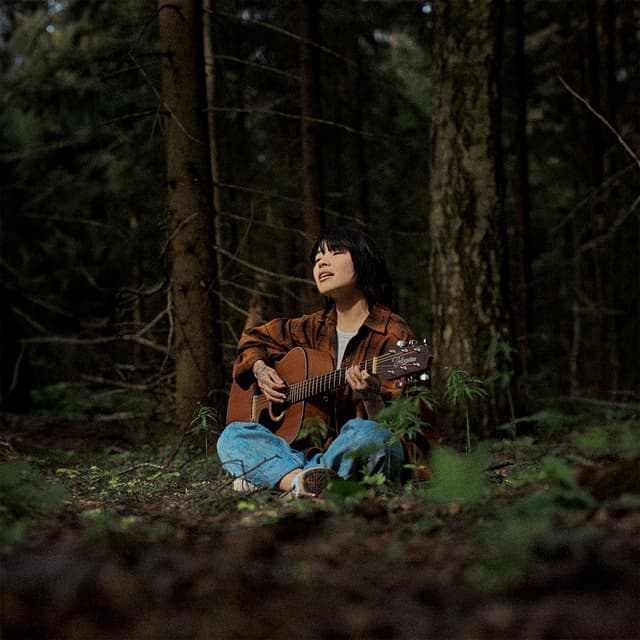 Album cover art for Пламя