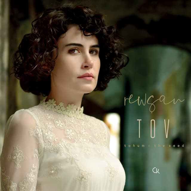 Album cover art for TOV