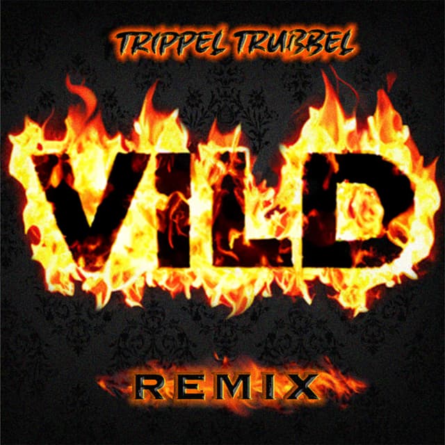 Album cover art for Vild remix