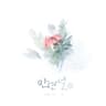 만년설 Permanent snow