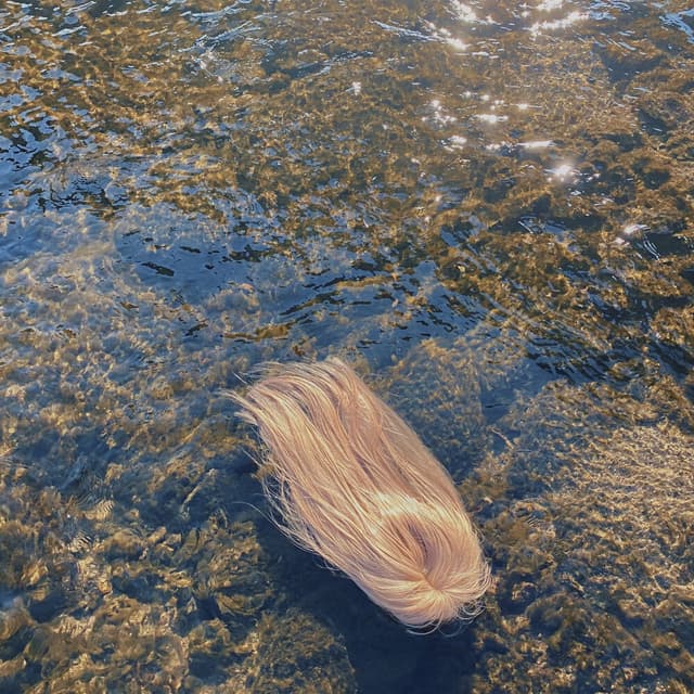 Album cover art for L a u r a
