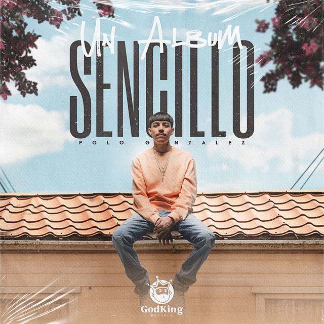 Album cover art for Un Album Sencillo