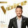 When We Were Young (The Voice)